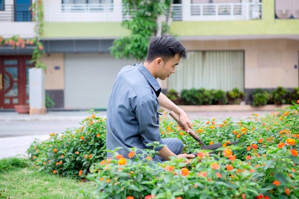 Dịch vụ chăm sóc cảnh quan khuôn viên sân vườn - Cây Xanh Phú Cường - Công Ty TNHH Dịch Vụ Và Kỹ Thuật Phú Cường